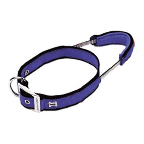 Dog Leads